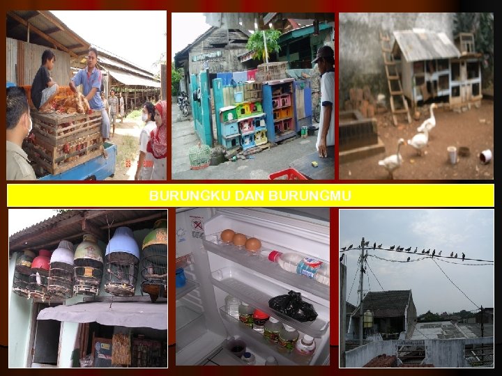 BURUNGKU DAN BURUNGMU 