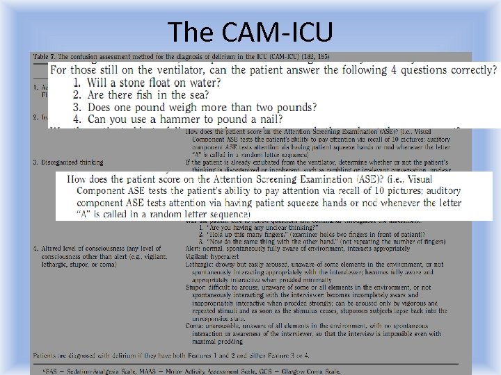 The CAM-ICU 