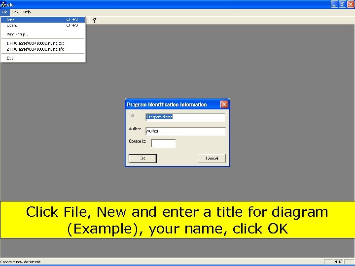 Click File, New and enter a title for diagram (Example), your name, click OK