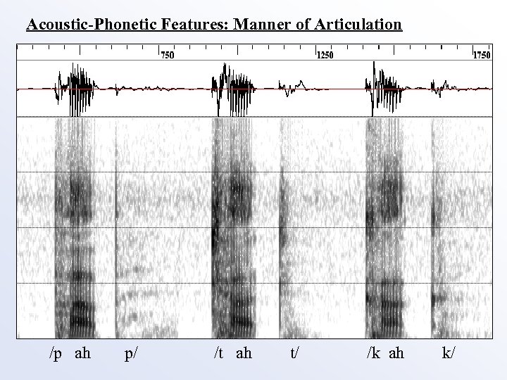 Acoustic-Phonetic Features: Manner of Articulation /p ah p/ /t ah t/ /k ah k/