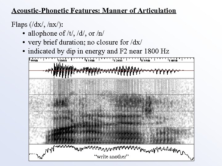 Acoustic-Phonetic Features: Manner of Articulation Flaps (/dx/, /nx/): • allophone of /t/, /d/, or