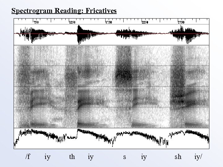 Spectrogram Reading: Fricatives /f iy th iy sh iy/ 