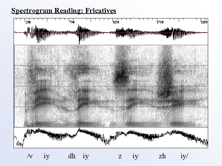 Spectrogram Reading: Fricatives /v iy dh iy zh iy/ 