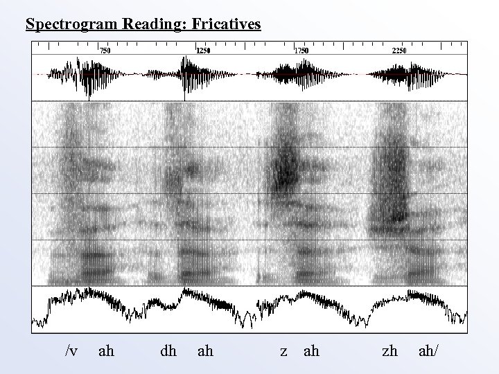 Spectrogram Reading: Fricatives /v ah dh ah zh ah/ 