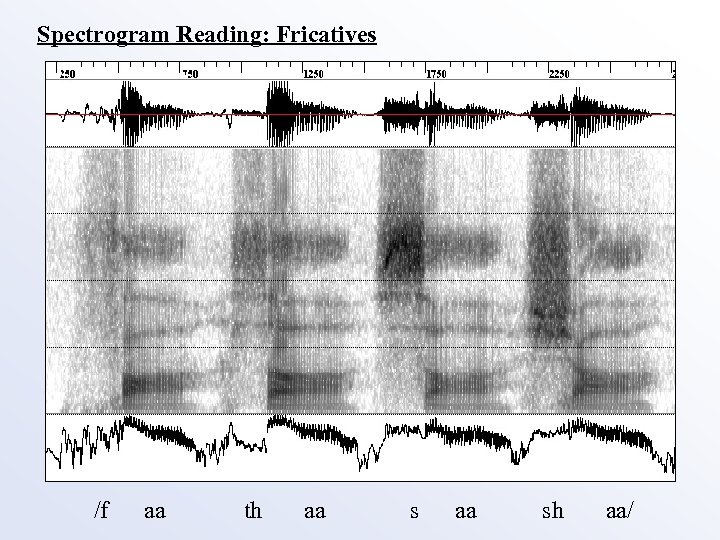 Spectrogram Reading: Fricatives /f aa th aa sh aa/ 