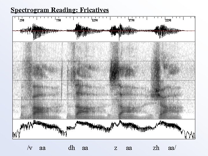 Spectrogram Reading: Fricatives /v aa dh aa zh aa/ 