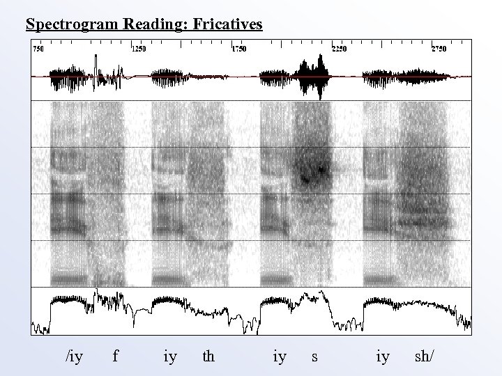 Spectrogram Reading: Fricatives /iy f iy th iy sh/ 