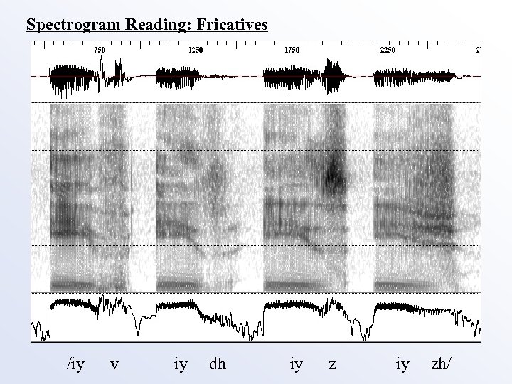 Spectrogram Reading: Fricatives /iy v iy dh iy zh/ 