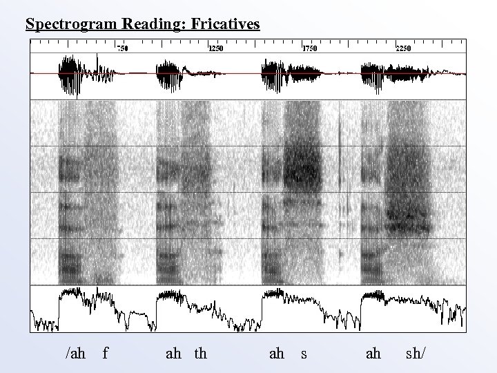 Spectrogram Reading: Fricatives /ah f ah th ah sh/ 