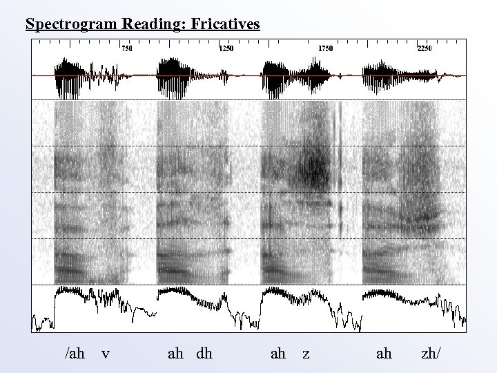 Spectrogram Reading: Fricatives /ah v ah dh ah zh/ 