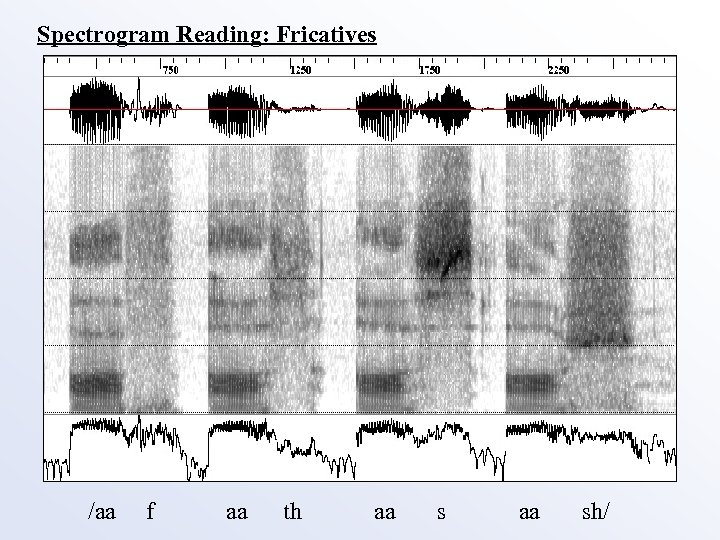 Spectrogram Reading: Fricatives /aa f aa th aa sh/ 