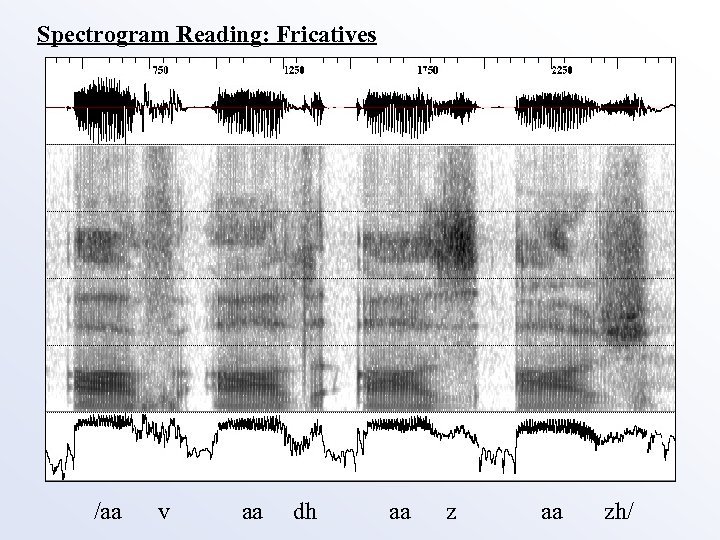 Spectrogram Reading: Fricatives /aa v aa dh aa zh/ 