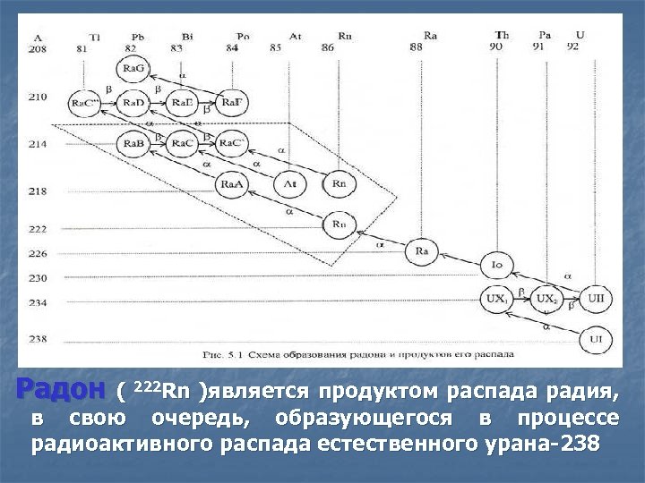  Радон ( 222 Rn )является продуктом распада радия, в свою очередь, образующегося в