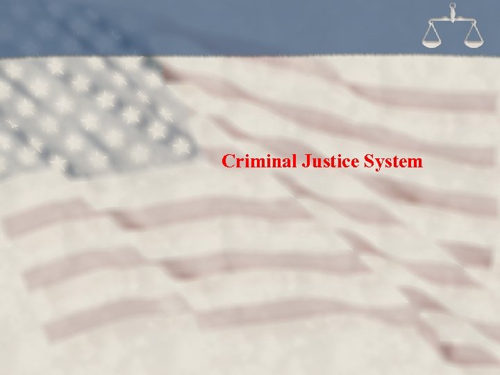 Criminal Justice System 