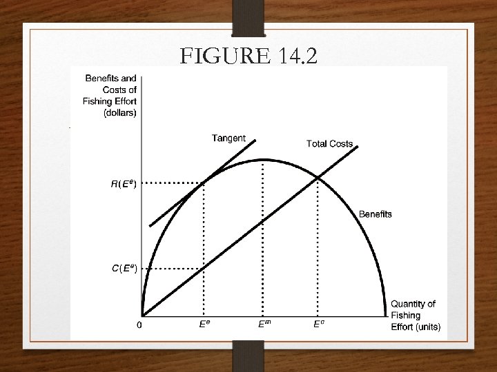 FIGURE 14. 2 Efficient Sustainable Yield for a Fishery 