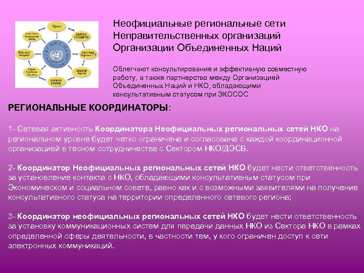 Неофициальные региональные сети Неправительственных организаций Организации Объединенных Наций Облегчают консультирование и эффективную совместную работу,