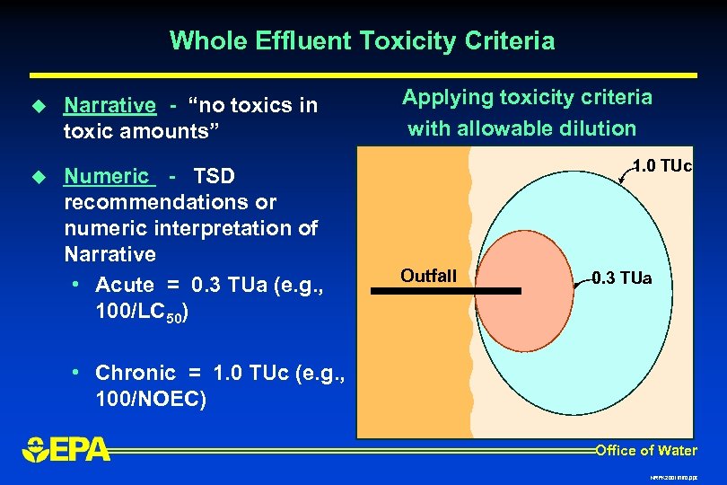 Whole Effluent Toxicity Criteria u u Narrative - “no toxics in toxic amounts” Numeric