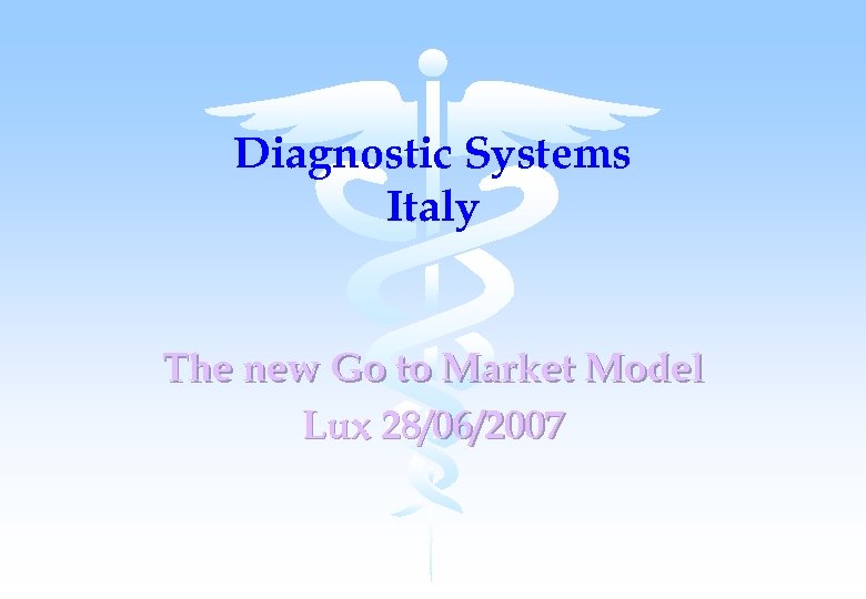 Diagnostic Systems Italy The new Go to Market Model Lux 28/06/2007 