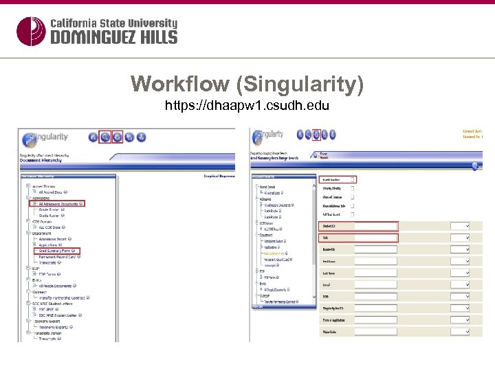 Workflow (Singularity) https: //dhaapw 1. csudh. edu 
