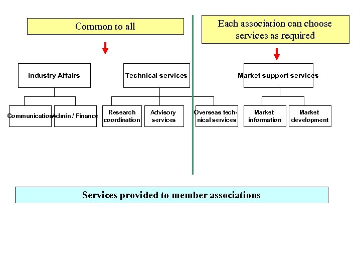 Each association can choose services as required Common to all Industry Affairs Technical services