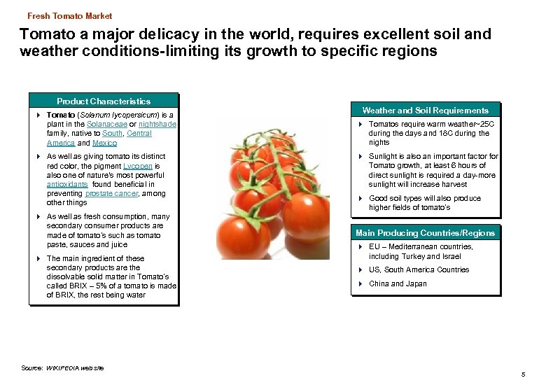 Fresh Tomato Market Tomato a major delicacy in the world, requires excellent soil and