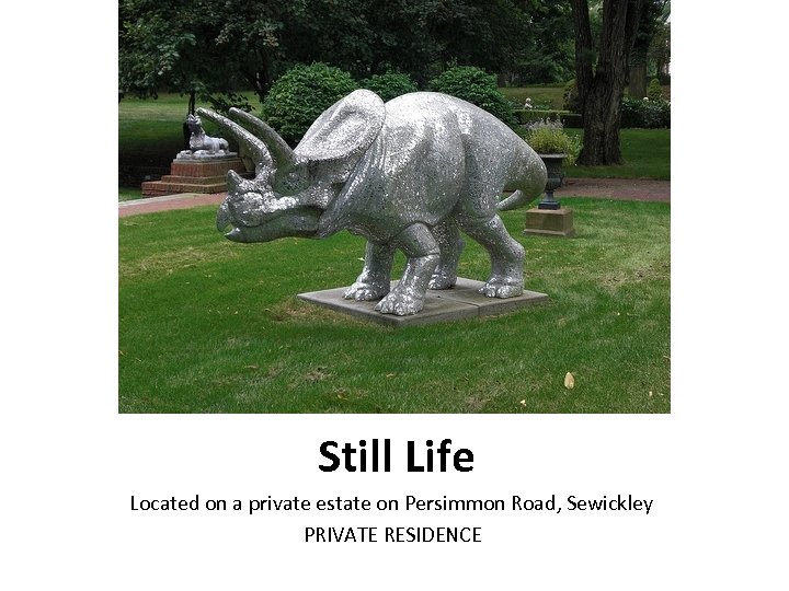 Still Life Located on a private estate on Persimmon Road, Sewickley PRIVATE RESIDENCE 