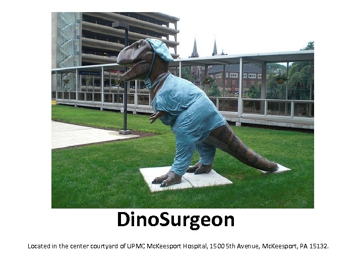 Dino. Surgeon Located in the center courtyard of UPMC Mc. Keesport Hospital, 1500 5
