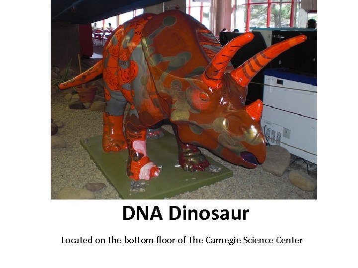 DNA Dinosaur Located on the bottom floor of The Carnegie Science Center 