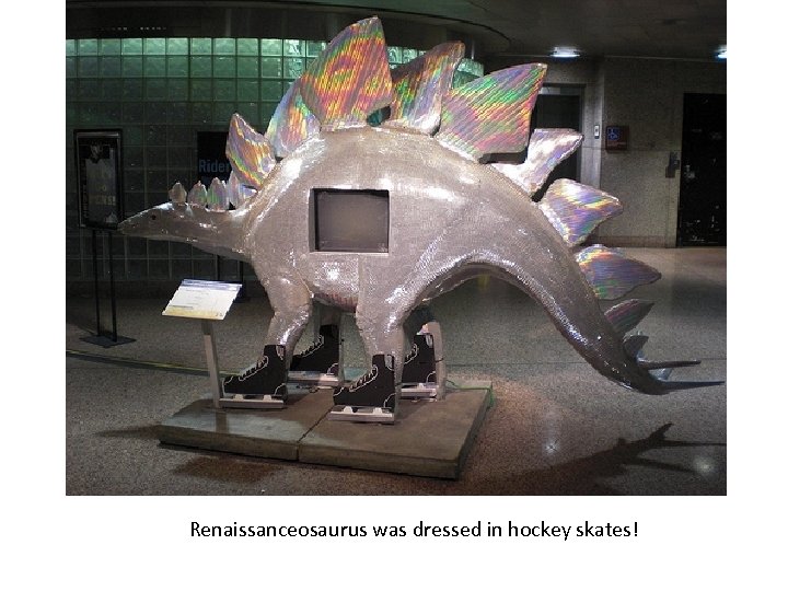  Renaissanceosaurus was dressed in hockey skates! 