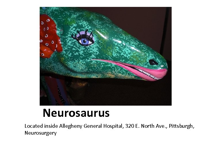 Neurosaurus Located inside Allegheny General Hospital, 320 E. North Ave. , Pittsburgh, Neurosurgery 