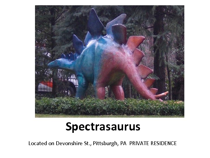 Spectrasaurus Located on Devonshire St. , Pittsburgh, PA PRIVATE RESIDENCE 