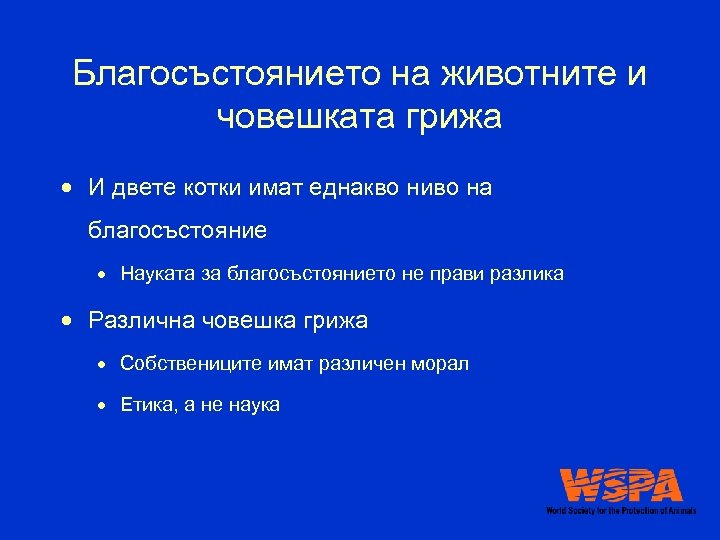 Благосъстоянието на животните и човешката грижа И двете котки имат еднакво ниво на благосъстояние