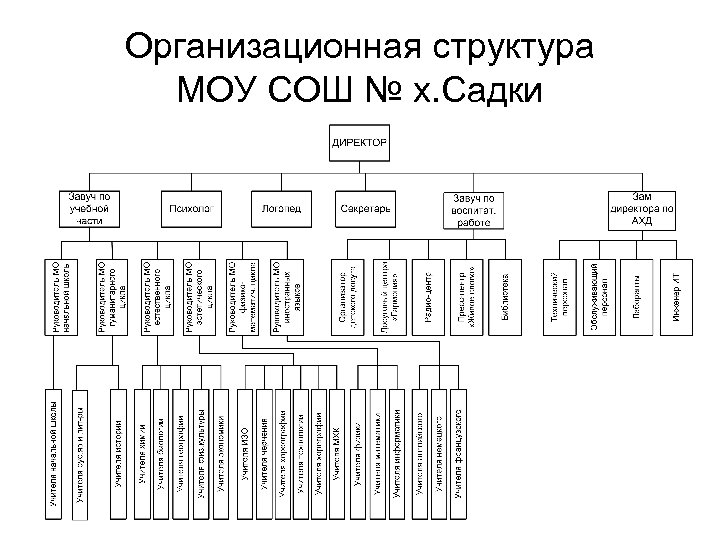 Организационная структура МОУ СОШ № х. Садки 