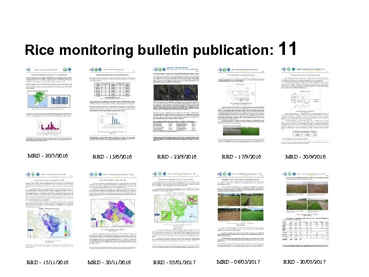 Rice monitoring bulletin publication: 11 MRD - 20/5/2016 RRD - 13/6/2016 RRD - 22/8/2016