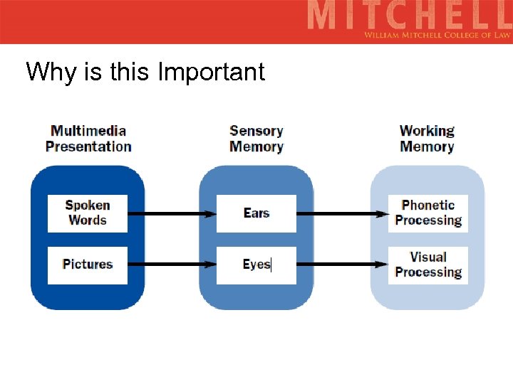 Why is this Important 