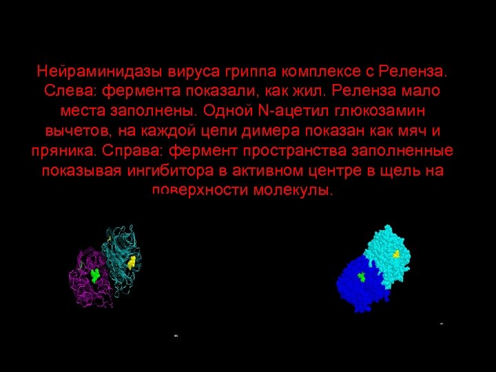 Нейраминидазы вируса гриппа комплексе с Реленза. Слева: фермента показали, как жил. Реленза мало места