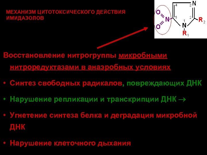 МЕХАНИЗМ ЦИТОТОКСИЧЕСКОГО ДЕЙСТВИЯ ИМИДАЗОЛОВ Восстановление нитрогруппы микробными нитроредуктазами в анаэробных условиях • Синтез свободных