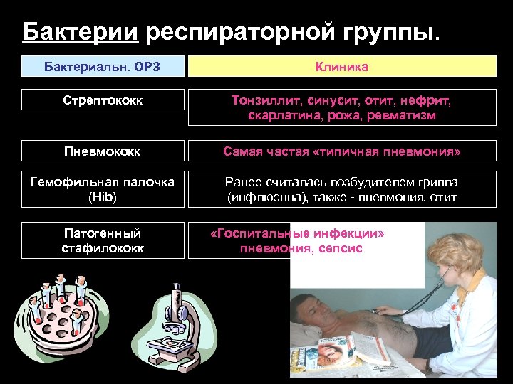 Бактерии респираторной группы. Бактериальн. ОРЗ Клиника Стрептококк Тонзиллит, синусит, отит, нефрит, скарлатина, рожа, ревматизм