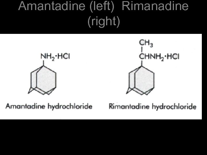 Amantadine (left) Rimanadine (right) 