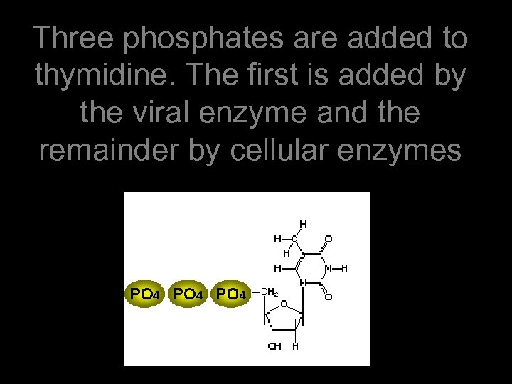 Three phosphates are added to thymidine. The first is added by the viral enzyme