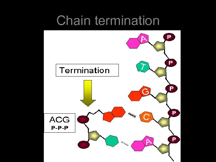 Chain termination 