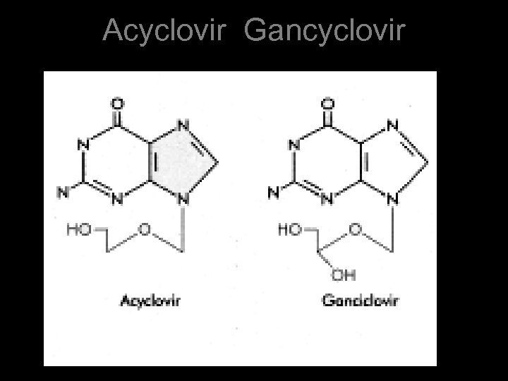 Acyclovir Gancyclovir 