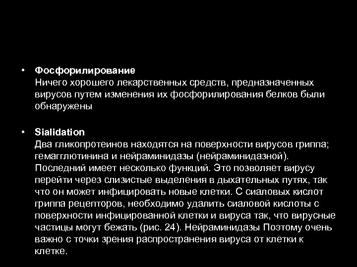  • Фосфорилирование Ничего хорошего лекарственных средств, предназначенных вирусов путем изменения их фосфорилирования белков