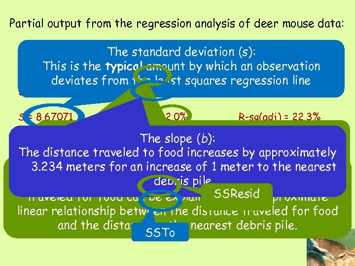 Partial output from the regression analysis of deer mouse data: The standard deviation (s):