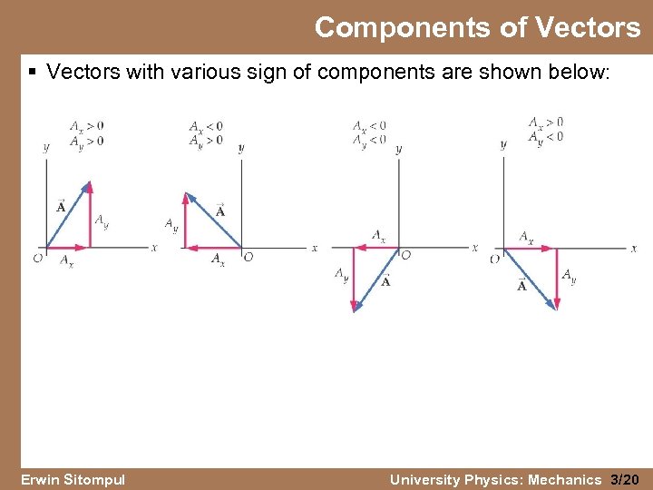 Components of Vectors § Vectors with various sign of components are shown below: Erwin