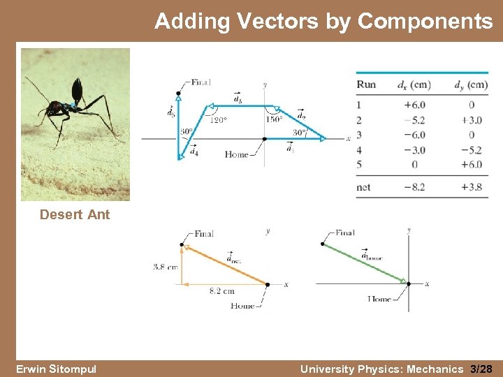 Adding Vectors by Components Desert Ant Erwin Sitompul University Physics: Mechanics 3/28 