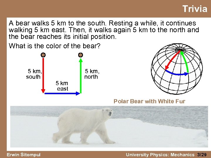Trivia A bear walks 5 km to the south. Resting a while, it continues