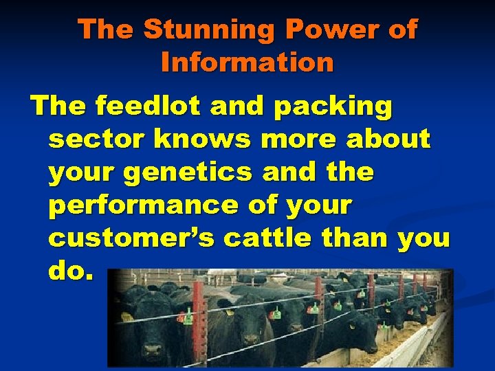 The Stunning Power of Information The feedlot and packing sector knows more about your