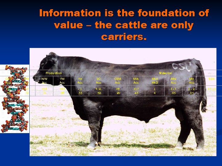 Information is the foundation of value – the cattle are only carriers. Production Maternal