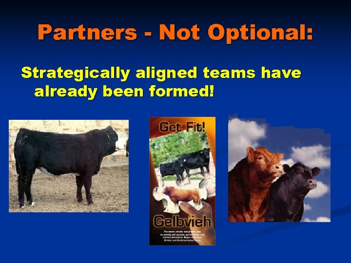 Partners - Not Optional: Strategically aligned teams have already been formed! 